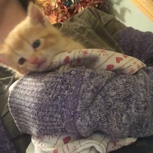 Meet your Posher, Hannah